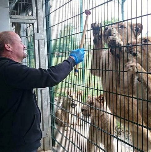 We've Launched Two Amazing Zoo Animal Experiences • Folly Farm