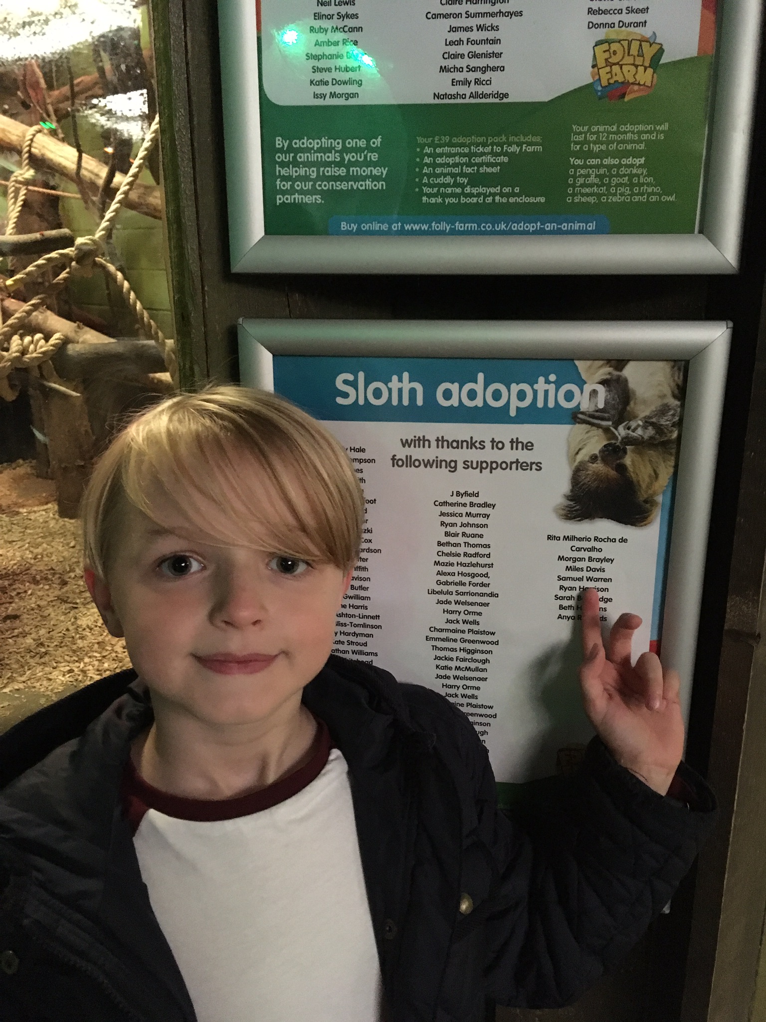 Child in front of the sloth adoption board
