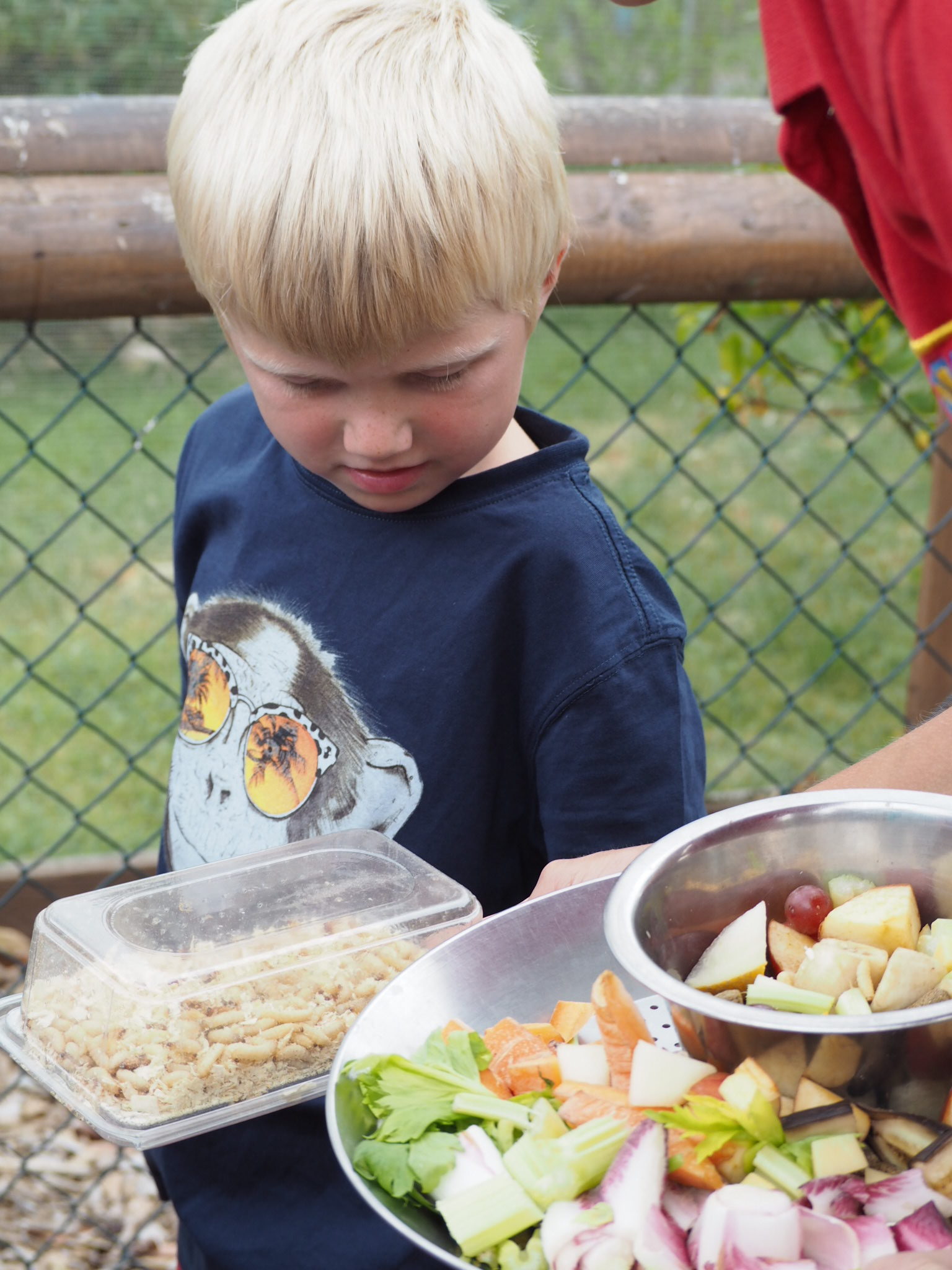 Zoo keeper showing boy the squirrel monkey food preparation