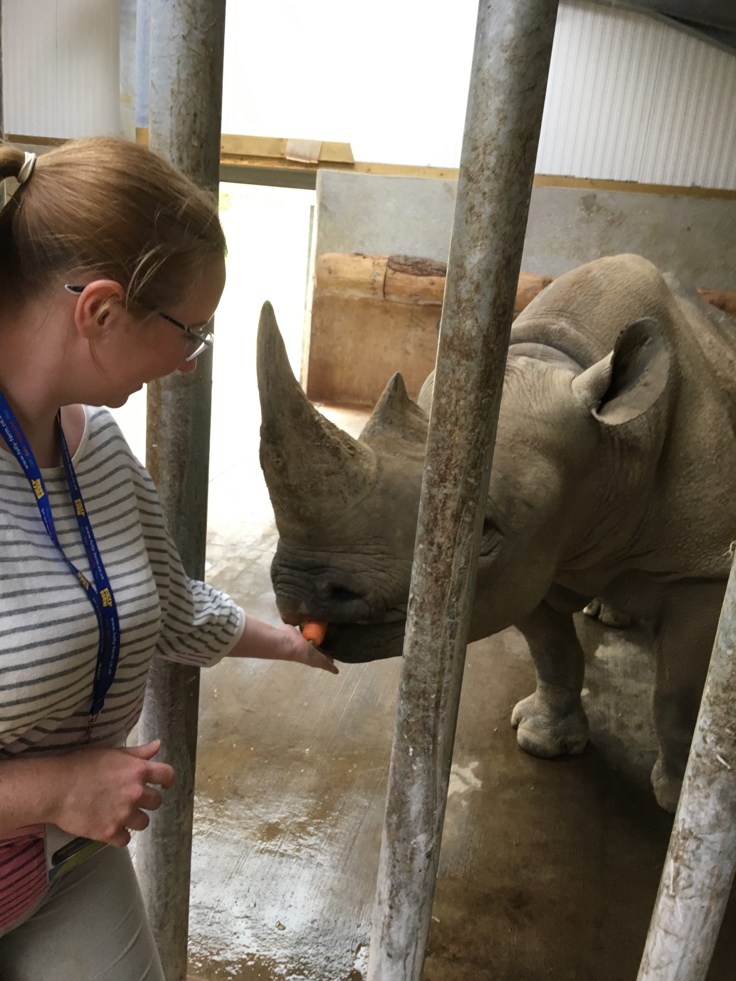 Rhino Experience Day UK • Rhino Encounter