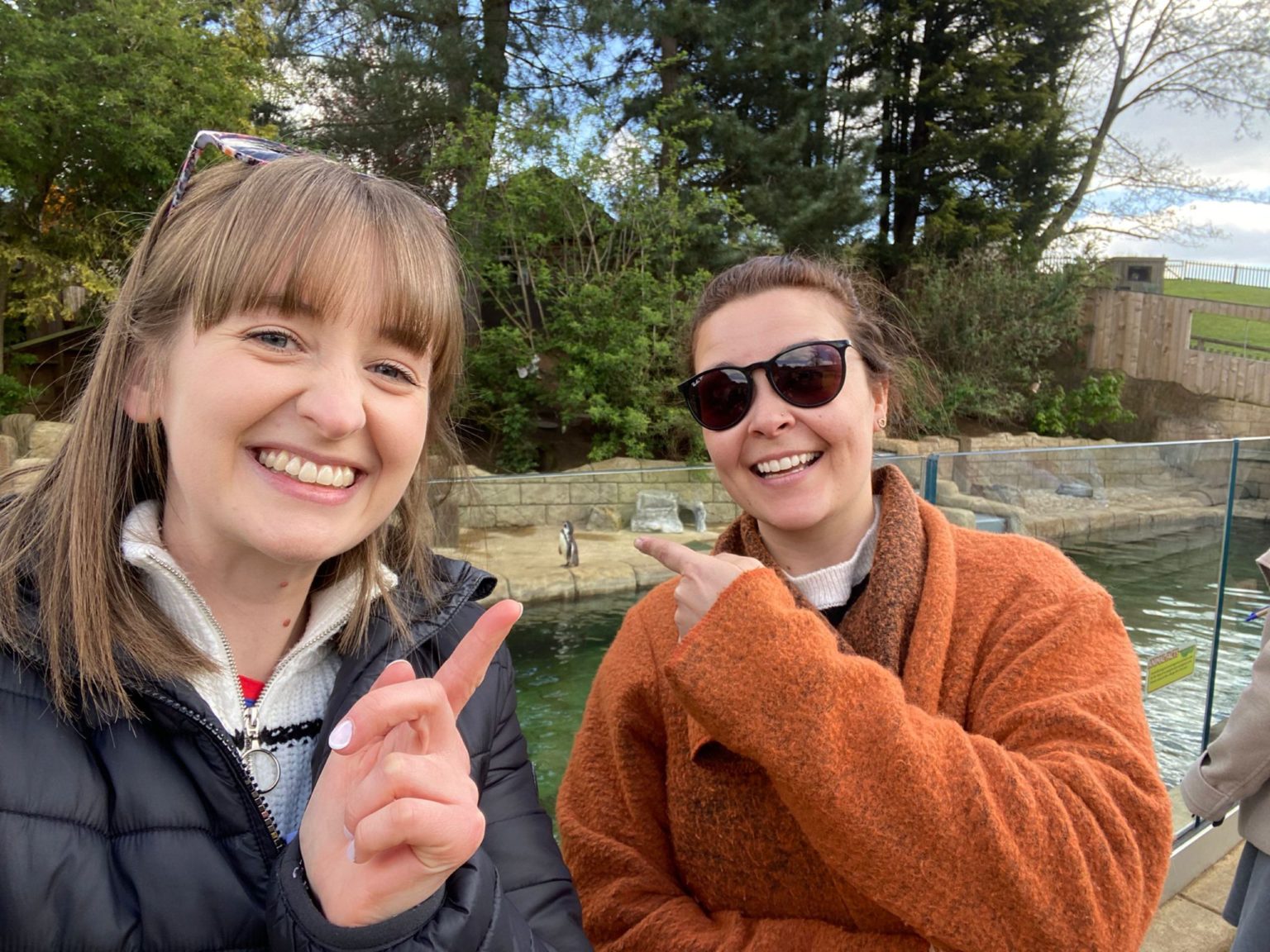 ABWAK Penguin Workshop for our Keepers • Folly Farm